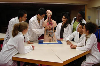 Anatomy Resources Physiology Online Course